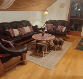 Apartment ANDA